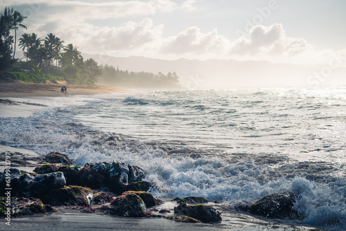 Das kleine Paradies - Hawaii