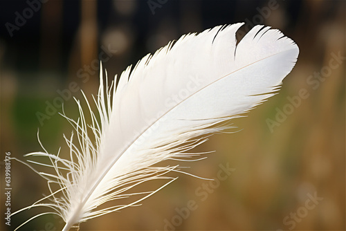 close up of a white feather