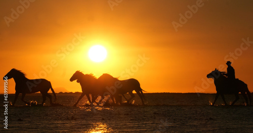 Fototapeta Naklejka Na Ścianę i Meble -  Camargue Horse, Herd trotting or galloping in Ocean at Sunrise, Saintes Marie de la Mer in Camargue, in the South of France