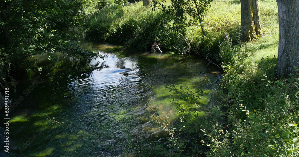 Obraz premium River with Aquatic Plants, Normandy in France