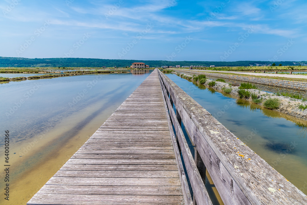 A view up a boardwalk at the salt pans at Secovlje, near to Piran, Slovenia in summertime