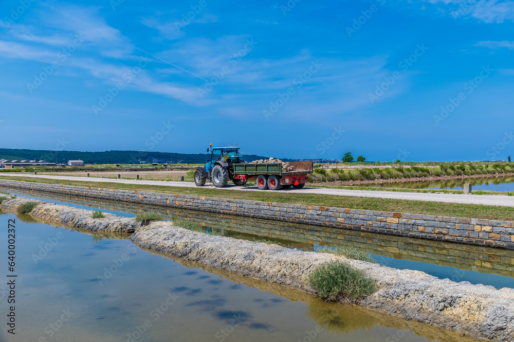 Fototapeta premium A view of activity at the salt pans at Secovlje, near to Piran, Slovenia in summertime