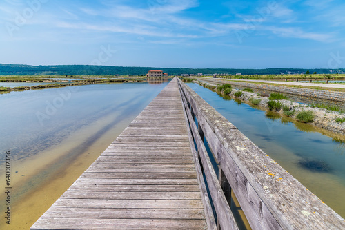 A view up a boardwalk at the salt pans at Secovlje, near to Piran, Slovenia in summertime