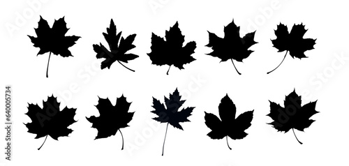 Set of maple leaf silhouettes. Autumn leaves - vector illustration photo