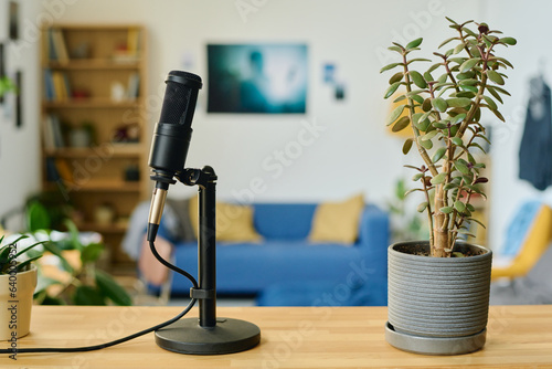 Focus on microphone and flowerpot with green domestic plant standing on wooden table in front of camera against couch and shelves
