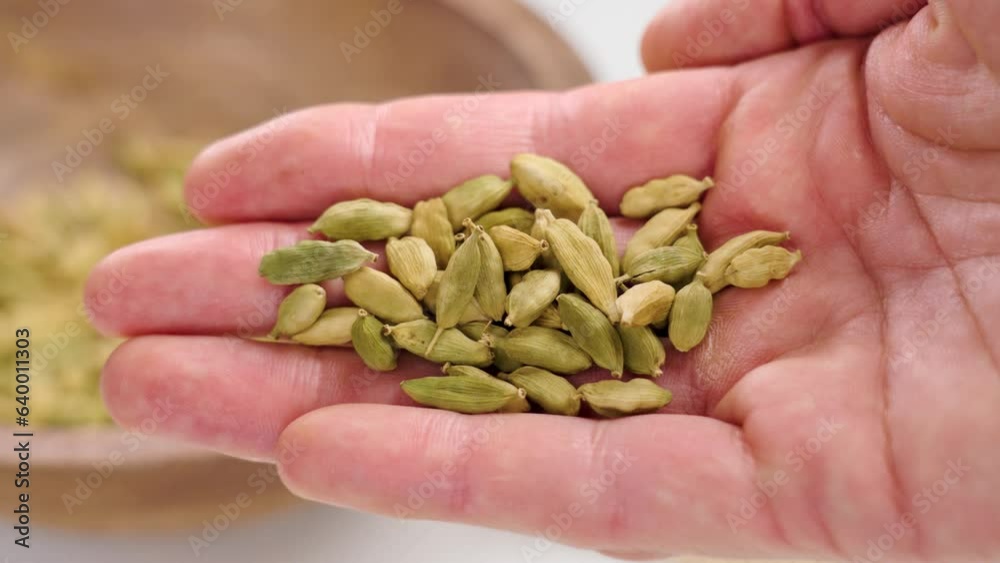Dried cardamom seed pods in the cook hand. Green natural spicy cardamon seasoning in wooden bowl on background Dried cardamom seed pods in the cook hand. Green natural spicy cardamon seasoning in wooden bowl on background