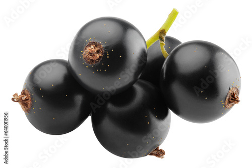 Black Currant isolated on white background, full depth of field