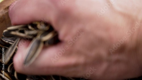 A hand takes a handful of roasted dietary nutritious sunflower seeds close up