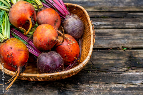 Beetroots in wicker basket on wooden background. Ripe yellow, orange and purple beets.