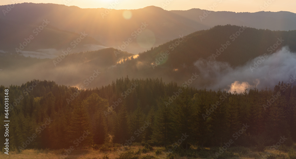Fototapeta premium Beautiful morning panorama of forest covered by low clouds. Sun rays in forested mountain slope.
