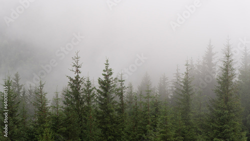 Beautiful morning panorama of forest covered by low clouds. Autumn fog on the mountain hills. Misty fall woodland. Colored sunrise in forested mountain slope.