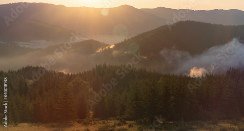 Beautiful morning panorama of forest covered by low clouds. Sun rays in forested mountain slope.