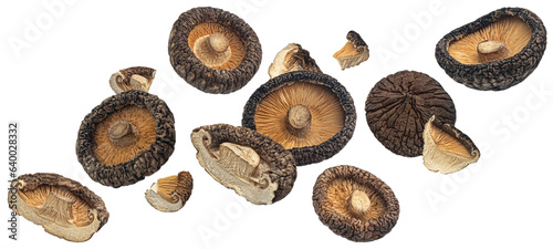 Dried shiitake mushrooms isolated on white background