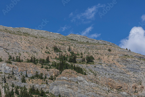 Canadian Rocky Mountain Top - Icefields Parkway