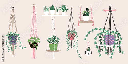 Houseplants in trendy hygge style. Collection of Home plants in flower pots. Urban jungle decor set . Evergreen plants in planters hanging
