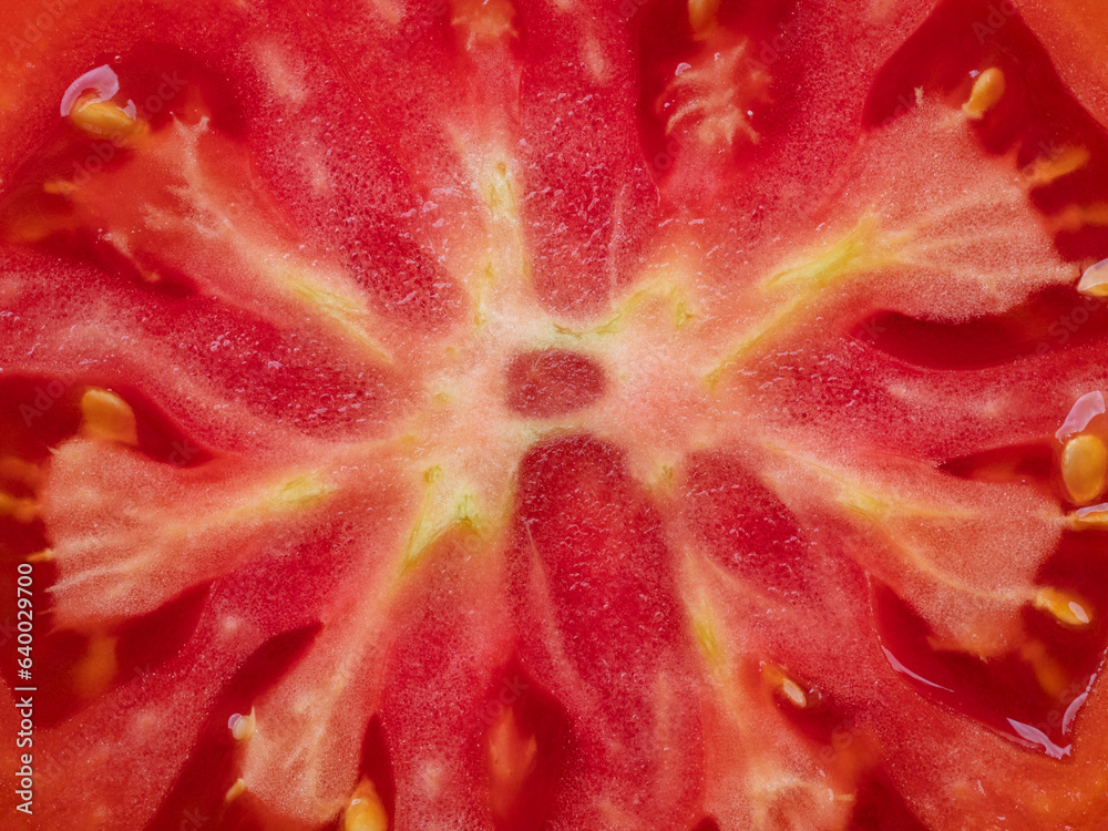 macro detail of inside fresh tomato , sliced tomato close up macro detail of inside fresh tomato , sliced tomato close up