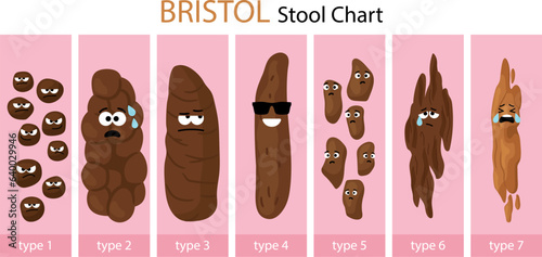 A set of various types human feces - constipation, normal and diarrhea. Excrement at health stomach and diseases of digestion. photo