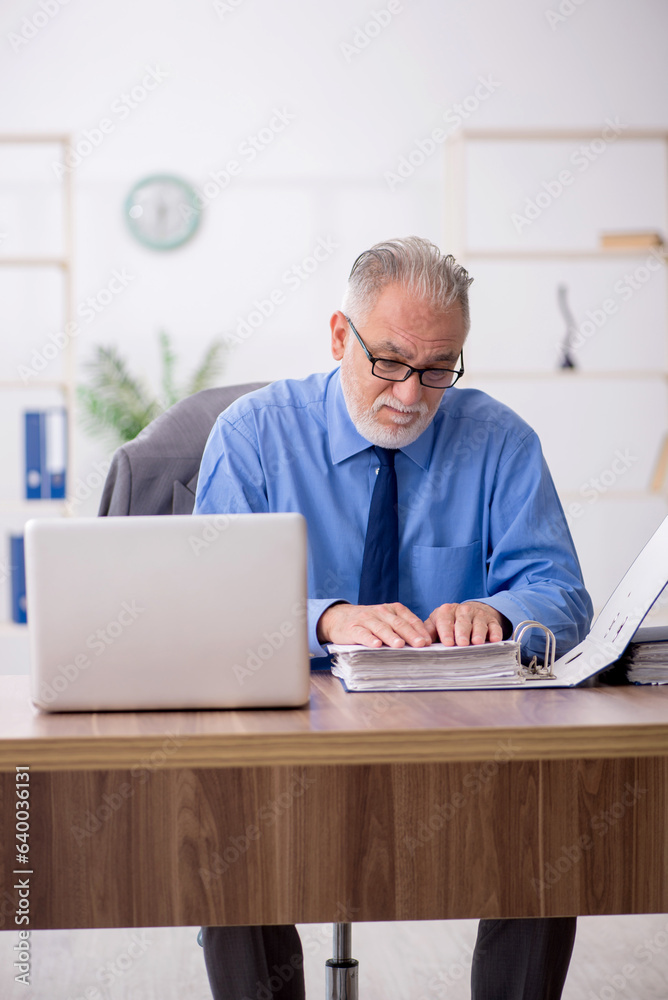 Old male employee working in the office