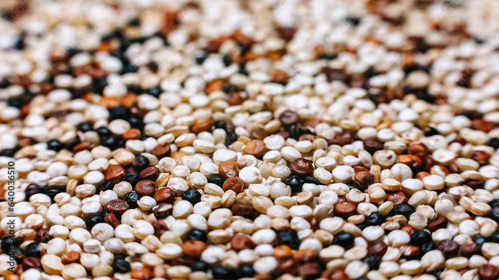 Banner of quinoa in the foreground, macro shot. Selective focus, space for text. Banner of quinoa in the foreground, macro shot. Selective focus, space for text.