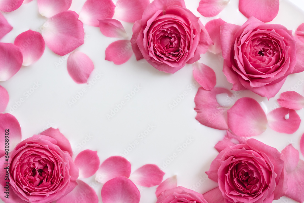 Floating pink rose flowers and petals in milk bath. Floral background for beauty industry. Selective focus, copy space