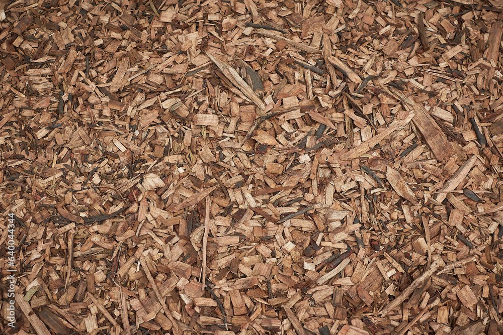 Autumnal Canvas: A rich texture emerges from a meticulous arrangement of dry leaves, offering an ideal backdrop for creative designs. The intricate patterns and warm hues evoke the essence of fall, re Autumnal Canvas: A rich texture emerges from a meticulous arrangement of dry leaves, offering an ideal backdrop for creative designs. The intricate patterns and warm hues evoke the essence of fall, re