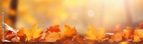 With orange leaves on a blurred background, this is a colorful universal natural autumn panorama for design.