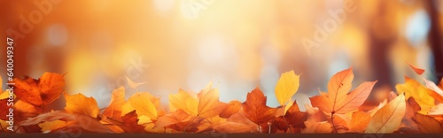With orange leaves on a blurred background, this is a colorful universal natural autumn panorama for design.