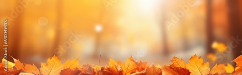 With orange leaves on a blurred background, this is a colorful universal natural autumn panorama for design.