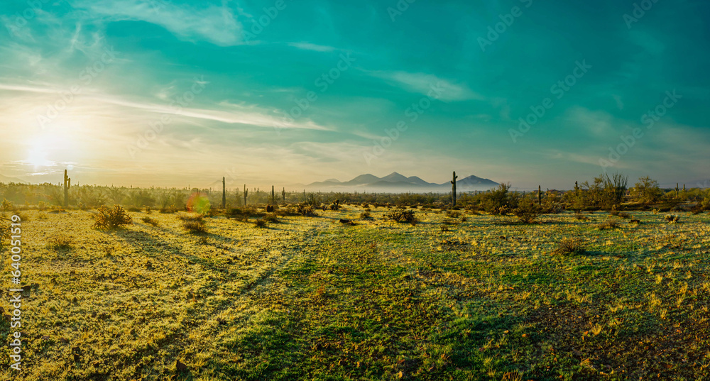 Panorama of a rare morning fog in the Phoenix Sonoran Desert Preserve in central Arizona.