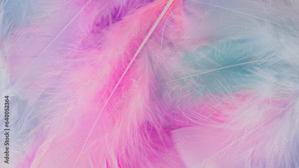 pink feather wool pattern texture background pink feather wool pattern texture background