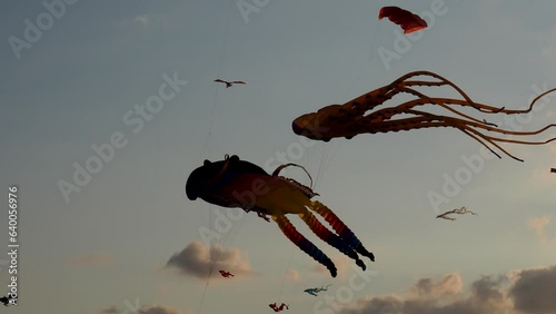  Kite Festival. The concept of aerodynamics. A beautiful sight. Air object in the sky. Festivals in Georgia. Rest on the Black Sea embankment. On the Sunset
