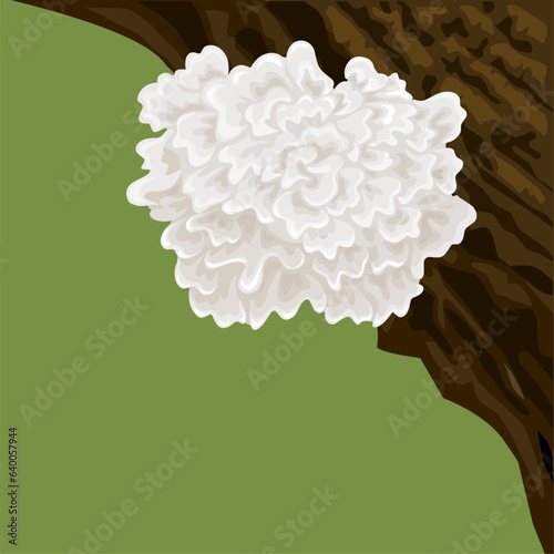 Vector illustration, Tremella fuciformis mushroom, also called white ear mushroom, snow fungus, or jelly mushroom, on a tree trunk on a green background.