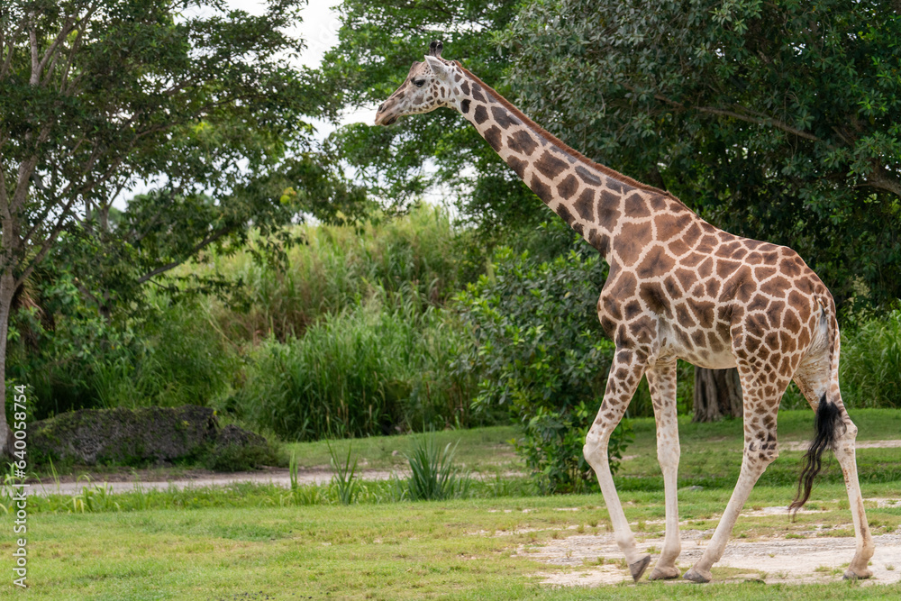 Amazing pictures of animals at the Zoo! Amazing pictures of animals at the Zoo!