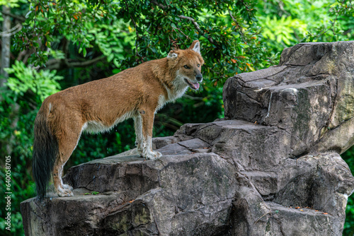 Amazing pictures of animals at the Zoo!