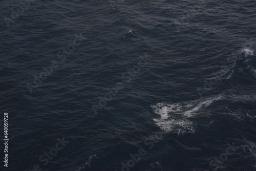 Close-up of Ocean Waves