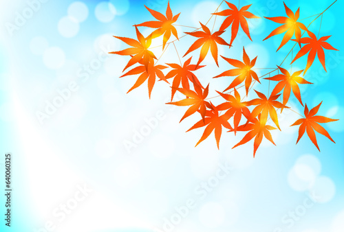 紅葉　もみじ　秋　背景
