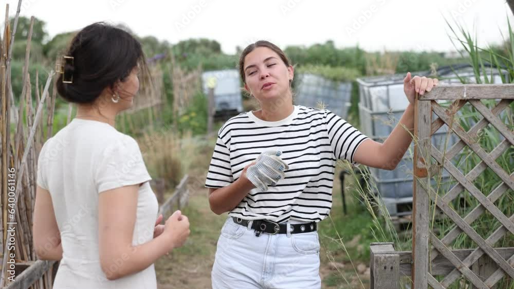 Two neighbor female gardeners chatting looking to each others at kitchen-garden 