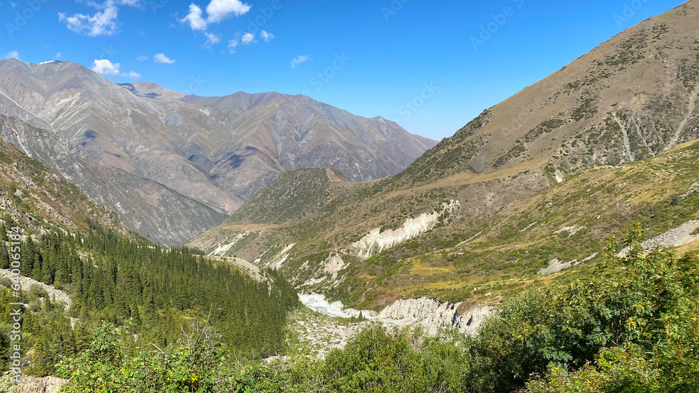 Green wooded mountain slopes. Ala Archa National Park in Kyrgyzstan. Beautiful mountain landscape. Active summer vacation.
