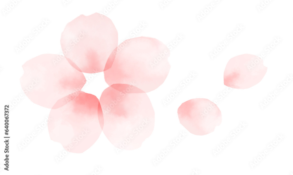 Obraz premium 手描きの水彩の桜の花と花びら