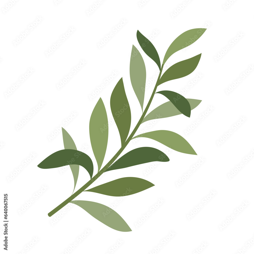 olive leaves flat vector illustration logo icon clipart isolated on white background