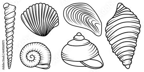 Hand drawn sea shell on white background. Vector illustration