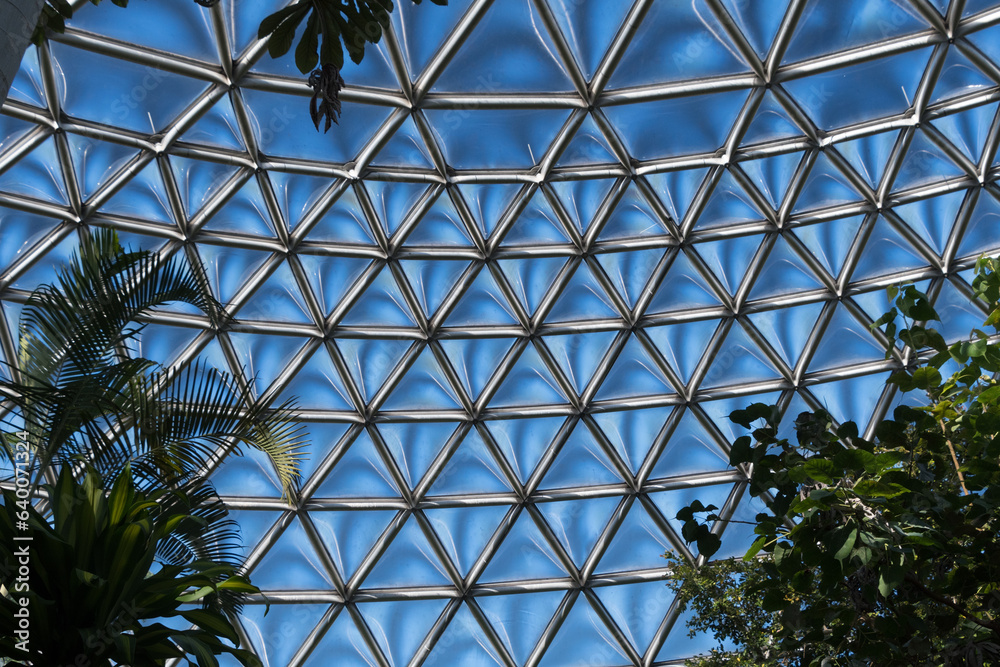 Glass dome over a botanic garden made of triangle bits