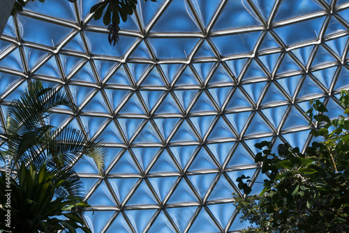 Glass dome over a botanic garden made of triangle bits