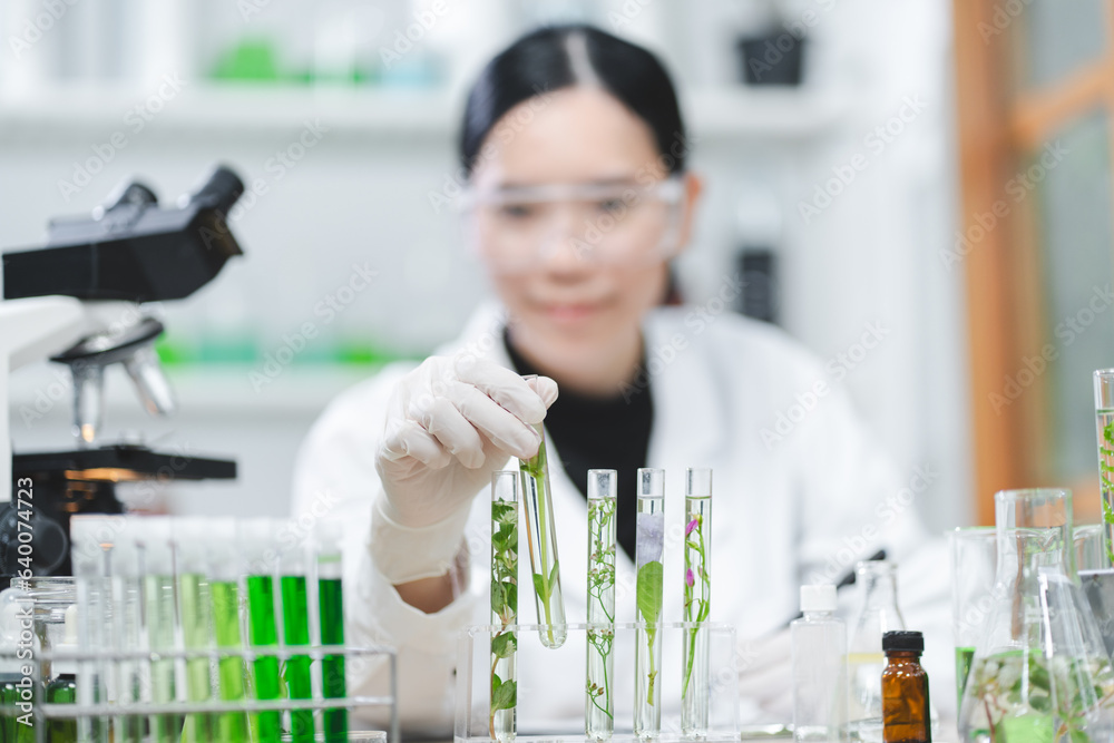 plant in medical pharmacy science research at chemical medicine laboratory for pharmaceutical industry, chemistry development scientist using equipment for health technology experiment or biology drug - obrazy, fototapety, plakaty 