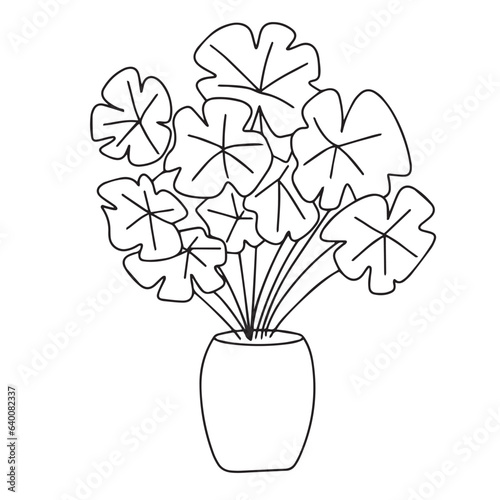 Houseplant in doodle style. Outline vector illustraiton.