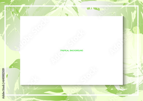 Solf lighting and Green leafs With paper background,Modern background,product show