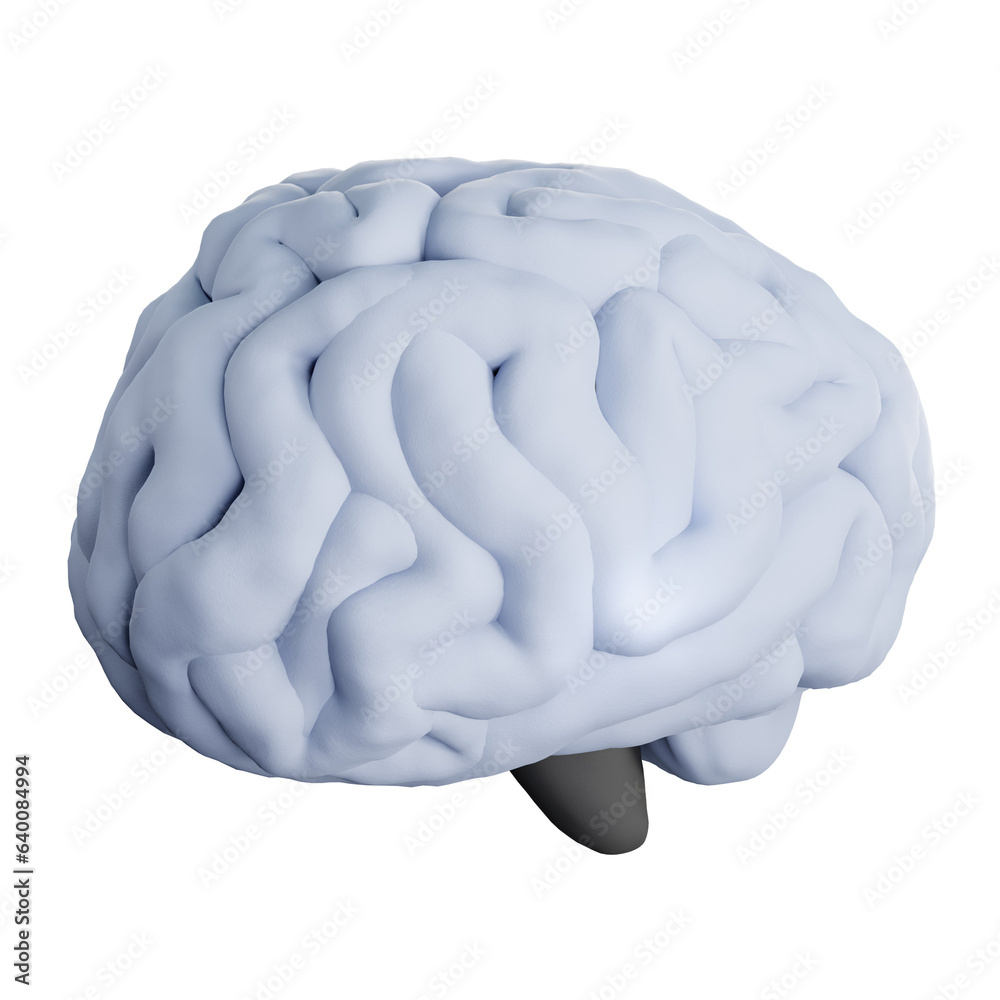 Brain Brain