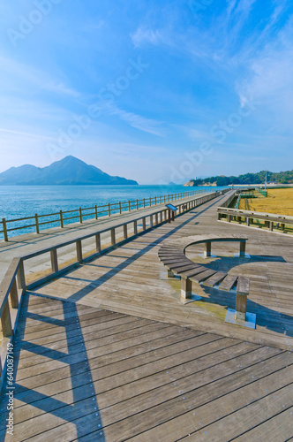 Okunoshima or Rabbit island in Hiroshima prefecture  Chugoku  Japan.