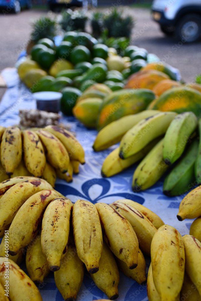 Fresh fruits in Moorea | French Polynesia
