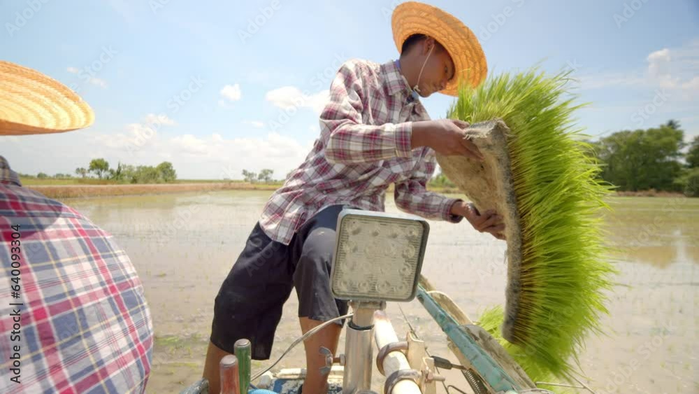 Two asian farmers which is a father and his son using the rice planter ...
